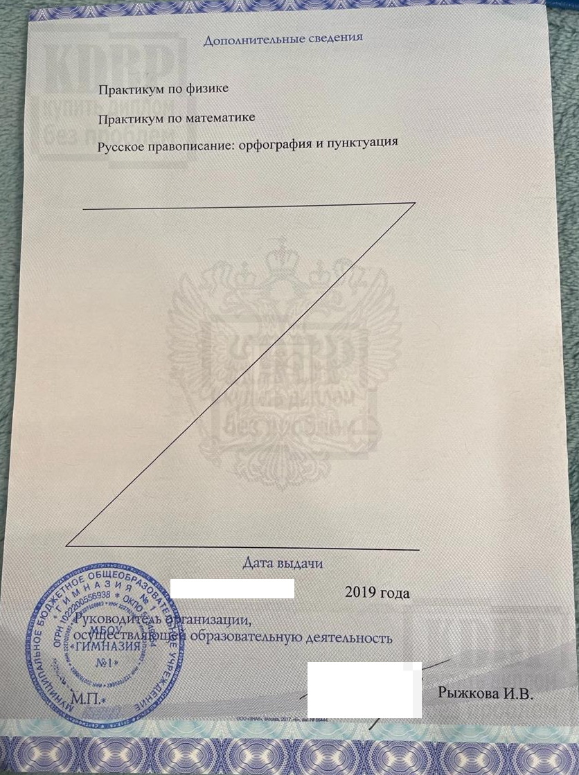 Дополнительные сведения аттестата 11 классов Гимназии № 1 г. Бийск Алтайский край (2019 г.)